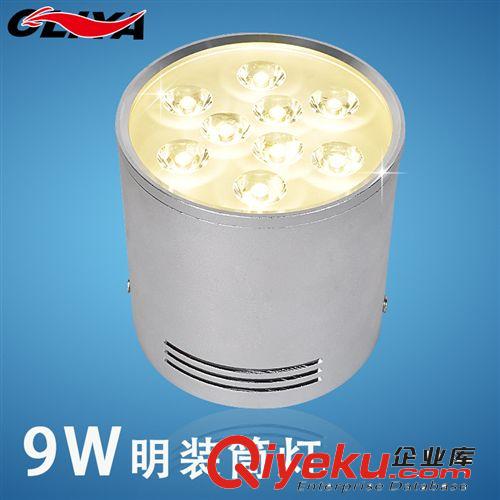 LED軌道燈  澳利亞照明限量LE明裝筒燈 LEDl軌道燈 導軌射燈12w 服裝店展廳燈原始圖片2