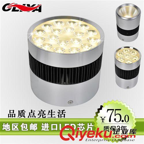 LED軌道燈  tj瘋搶LED明裝筒燈 澳利亞照明射燈 12w導軌燈 服裝店展廳燈