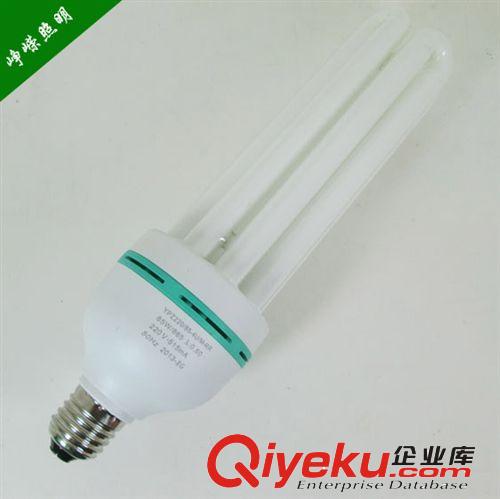 佛山照明節(jié)能燈 佛山照明節(jié)能燈直管中4U 45W/55W/65W/85Wzptj