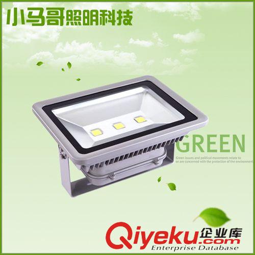 LED投光燈 廠家直銷 LED泛光燈投光燈 高品質(zhì)LED戶外投光燈