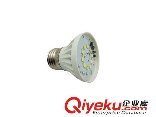 LED球泡 室內(nèi)照明 LED3W塑料球泡 廠家直銷 質(zhì)保2年