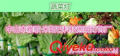 高大上 企業(yè)集采 廠家直銷 LED生鮮燈 市場燈 海鮮水果燈 超市生鮮燈原始圖片3