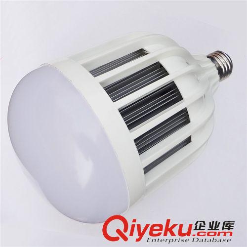 LED球泡燈 大瓦數(shù)塑料24W球泡燈帶散熱器 鳥籠工廠燈12W-36WLED節(jié)能燈泡原始圖片2