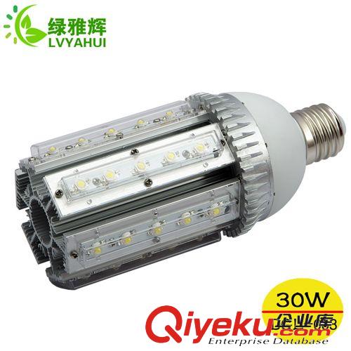 铝外壳玉米灯 供应led庭院灯 大功率led庭院灯 e40led庭院灯 30wled庭院灯