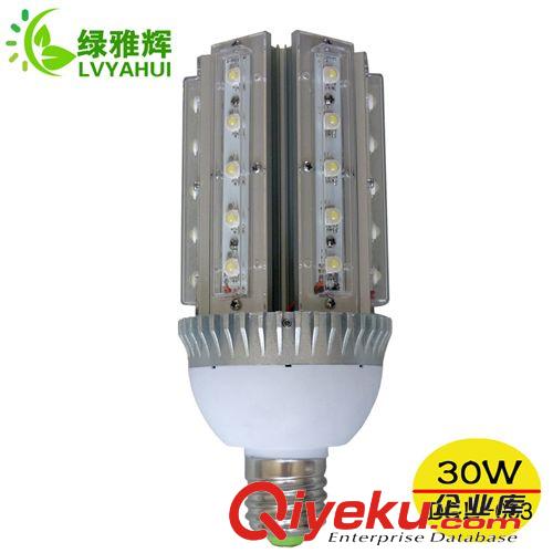 铝外壳玉米灯 供应led庭院灯 大功率led庭院灯 e40led庭院灯 30wled庭院灯