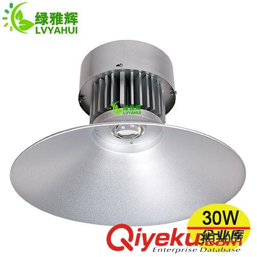 LED工礦燈 供應(yīng)led工礦燈 20w 30w優(yōu)質(zhì)led工礦燈 厚鋁led工礦燈