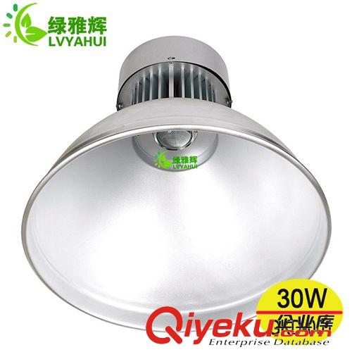 LED工礦燈 供應(yīng)led工礦燈 20w 30w優(yōu)質(zhì)led工礦燈 厚鋁led工礦燈