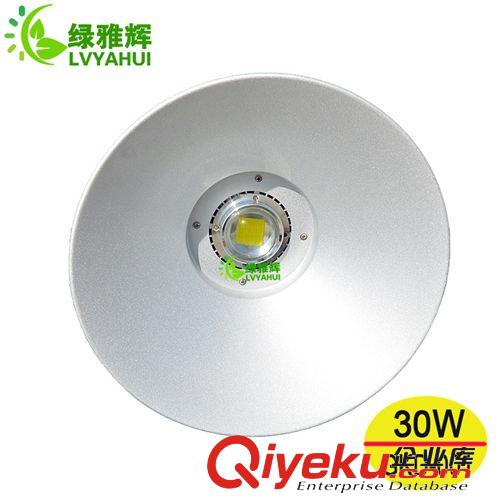 LED工礦燈 供應(yīng)led工礦燈 20w 30w優(yōu)質(zhì)led工礦燈 厚鋁led工礦燈