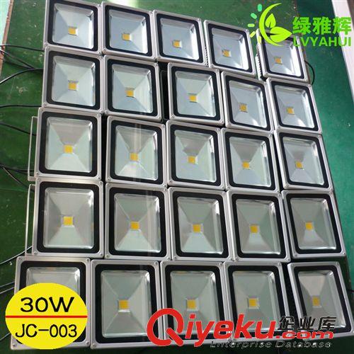 LED投光燈 供應led投光燈 30w集成led投光燈 戶外led投光燈 足功率led投光燈原始圖片3