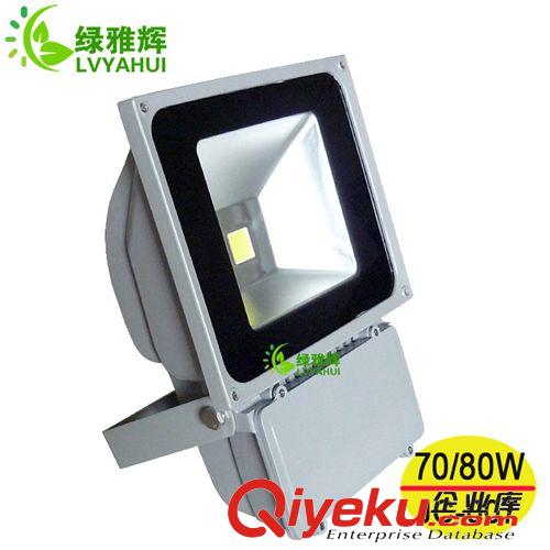 LED投光灯 厂家直销led投光灯 可做70w或80w led投光灯 厚铝壳led投光灯