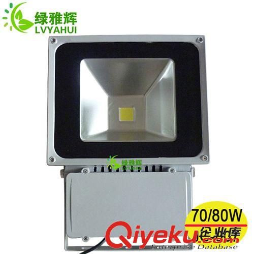 LED投光灯 厂家直销led投光灯 可做70w或80w led投光灯 厚铝壳led投光灯