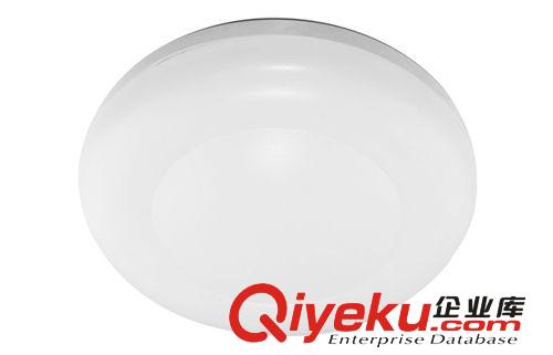 LED吸頂燈 22W 中山燈具 客廳房間臥室陽(yáng)臺(tái)LED吸頂燈 亞克力燈具 LN-C203原始圖片2