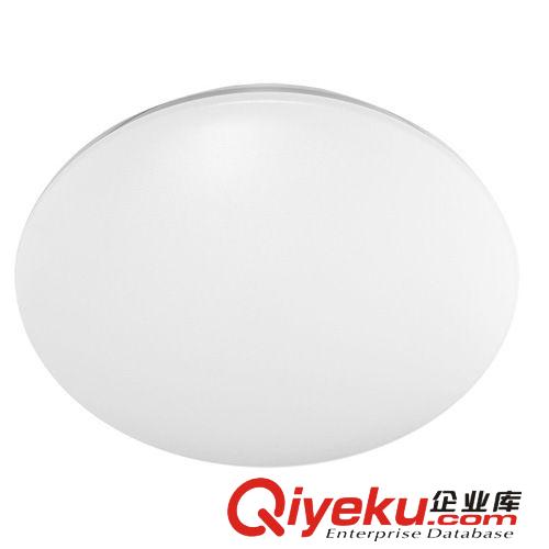 LED吸頂燈 22W 盧納燈具 亞克力燈罩 客廳房間臥室陽臺LED吸頂燈 LN-850