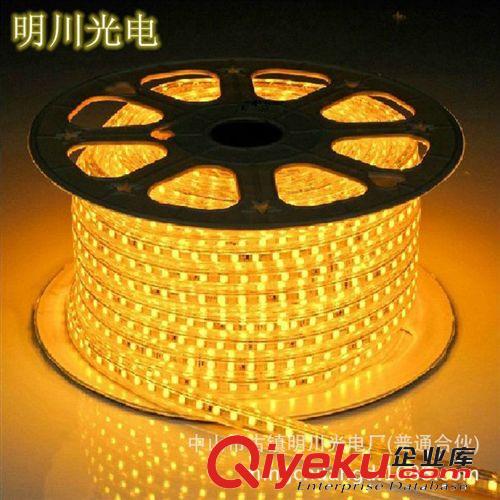 5050高壓220V三芯片 led燈帶燈條 5050高壓220V七彩變色燈條 防水防電軟燈帶 廠家批發(fā)