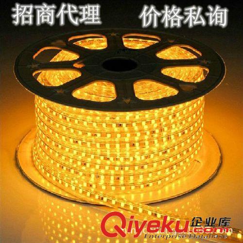 3014高壓220V-120珠 廠家批發(fā)led貼片燈帶  3014-120高亮燈條  高壓220V防水燈帶原始圖片2