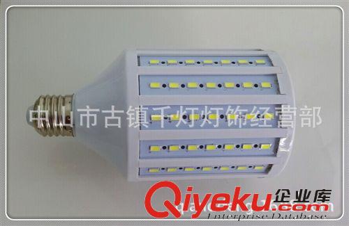 LED 玉米燈 5730 led 玉米燈 5730 112