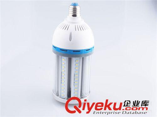 主打LED玉米燈 項目采集led玉米燈36W E27玉米燈 led庭院燈 公園草坪燈 工礦燈