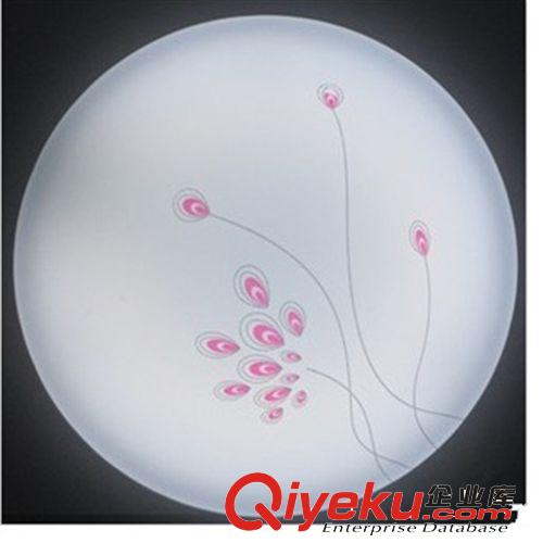 吸頂燈 廠家直銷 12-18W LED  吸頂燈