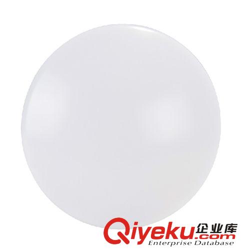LED吸頂燈 廠家直銷 吸頂燈 LED吸頂燈簡約全白系列  LED臥室走道燈 LED燈原始圖片2