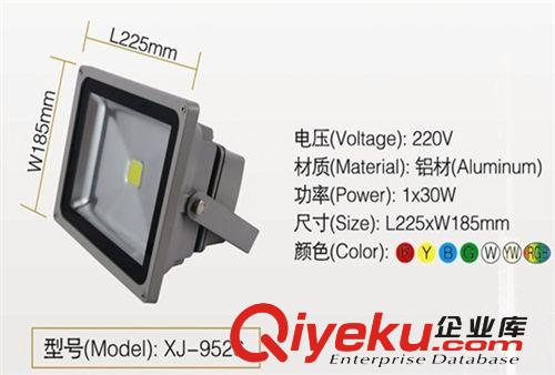 LED投光燈 【IP65】LED投光燈/大功率 30W投光燈 泛光燈 戶外亮化專用/防水
