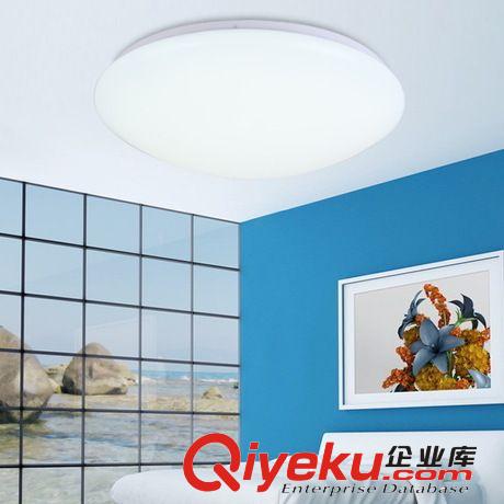 LED吸頂燈 廠家1件代批發LED吸頂燈面包燈 臥室客廳陽臺房間燈正白圓形圓模