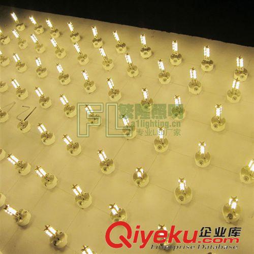 LED G4 G9 廠家直銷 g4 led燈珠220v 3w 紅色光 g4 高壓led  LED G4燈珠原始圖片3