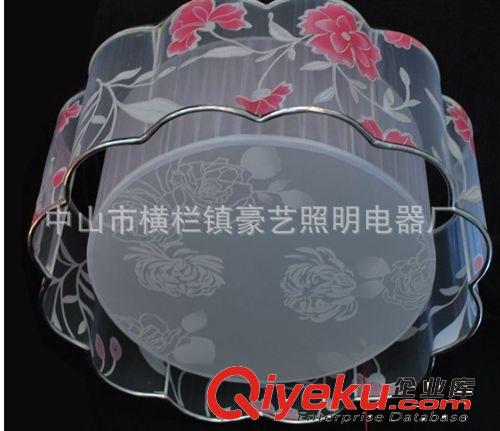 現代壁燈 廠家直銷吸頂燈 燈飾燈具 拉絲燈 臥室燈 餐廳燈客廳燈 LED燈4825原始圖片3
