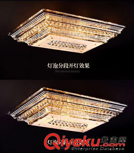現(xiàn)代簡約吸頂燈 【品盛】供應(yīng)方形水晶吸頂燈 大功率led長方形客廳燈 廠家直銷原始圖片3