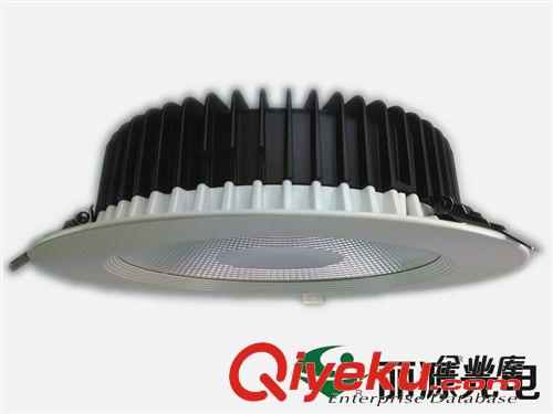 筒燈 批發(fā)供應(yīng) COB高檔工程筒燈8寸30W節(jié)能led筒燈 LY-TD-I05原始圖片2