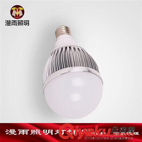LED球泡燈 12W球泡 LED球泡燈 超亮LED節能球泡燈 球泡燈廠家 新款球泡燈原始圖片2