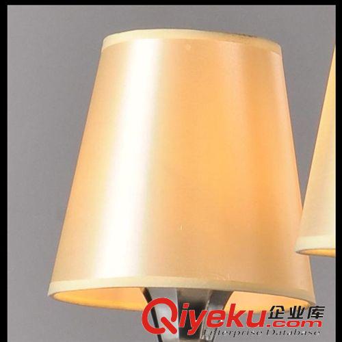 歐式吊燈 柏森 現(xiàn)代簡(jiǎn)約客廳燈 臥室餐廳吊燈 創(chuàng)意簡(jiǎn)歐式LED水晶吊燈具8052原始圖片3