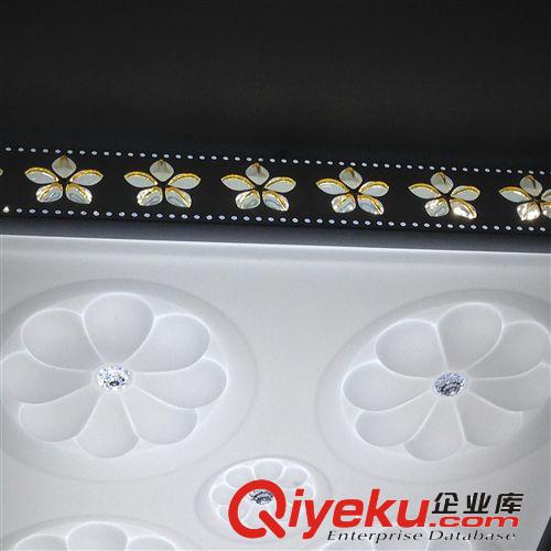 現代鐵藝吸頂燈 廠家批發LED壓克力吸頂燈鐵藝燈 客廳房間燈具 現代吸頂燈原始圖片2