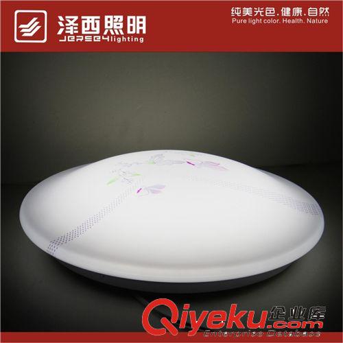 LED吸頂燈 LED吸頂燈批發(fā) 低壓燈飾批發(fā) 低壓燈 照明彩蝶舞