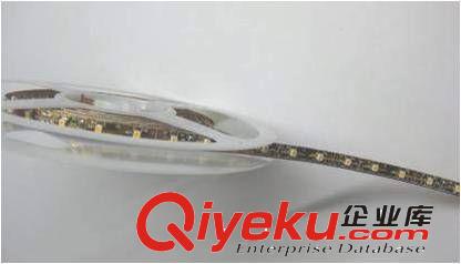 LED燈帶 LED低壓燈帶 12V 3528芯片60珠 裝飾品 外貿(mào)熱門(mén) 讓利熱賣(mài)爆款