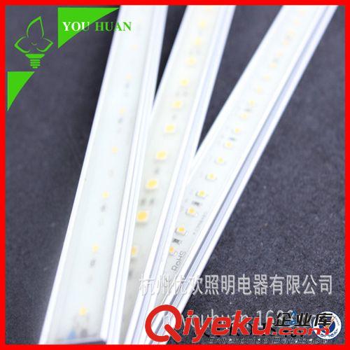 防水线条灯 厂家热销LED{gx}防水灯3528SMD每米100灯高亮低压可入水中