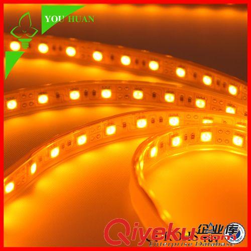 特殊類產(chǎn)品 LED燈帶5050戶外建筑亮化裝飾防水橋梁景觀建筑裝飾原始圖片2