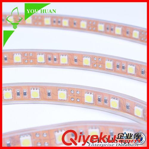 特殊類產品 廠家優勢供應 LED5050貼片燈帶12V60燈 通過CE ROSH認證 外貿熱銷