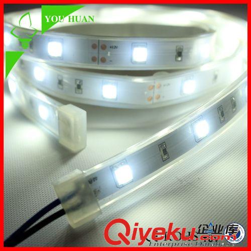 Q系列 软灯带SMD5050 led低压滴胶灌胶LED灯条水里鱼缸灯带光带12V套管