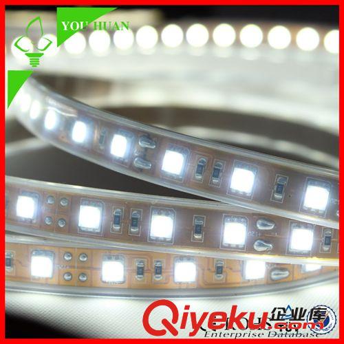 Q系列 软灯带SMD5050 led低压滴胶灌胶LED灯条水里鱼缸灯带光带12V套管