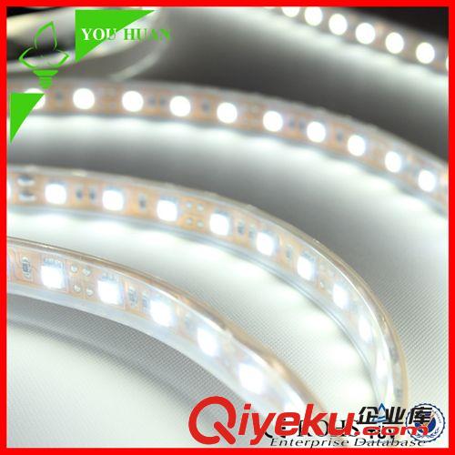 Q系列 软灯带SMD5050 led低压滴胶灌胶LED灯条水里鱼缸灯带光带12V套管