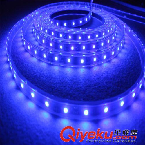 Q系列 led 12V軟燈條 5050貼片燈帶 60珠 ktv裝飾燈具