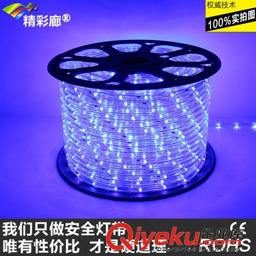 LED彩虹管--圆二线 精彩廊LED彩虹管厂家【出口产品：圆二线灯带 110V 防水 霓虹灯】