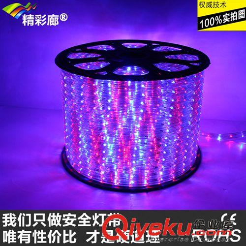 LED彩虹管--扁三線 精彩廊LED彩虹管廠家【出口產品：扁三線 220V 歐規 防水燈帶】