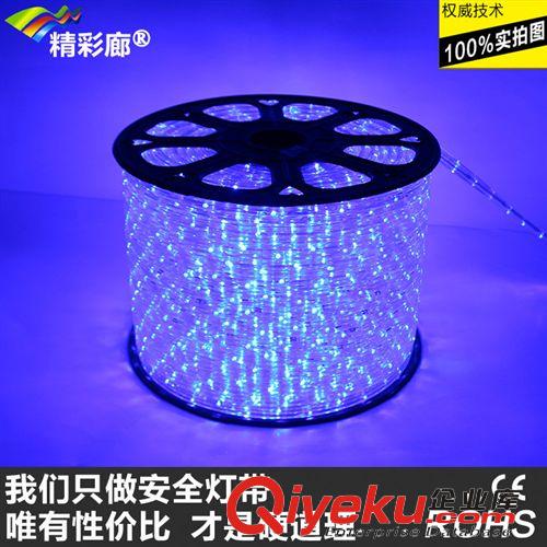 LED彩虹管--扁三线 精彩廊LED彩虹管厂家【出口产品：扁三线 220V 欧规 防水灯带】