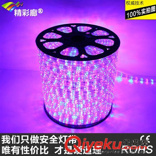 LED彩虹管--扁四線 精彩廊LED彩虹管【出口產品：扁四線 220V 歐規 混彩 霓虹燈帶】