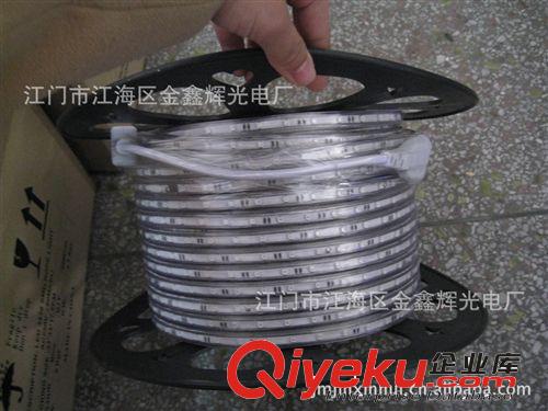 LED高壓貼片燈帶系列 廣東 中山 供應亮化工程 質保兩年 臺灣晶元  LED貼片軟燈條 燈帶