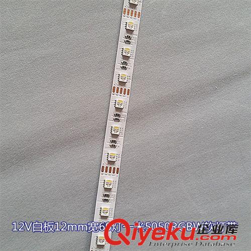 LED軟燈條 5050RGBW軟燈條 12V60燈一米