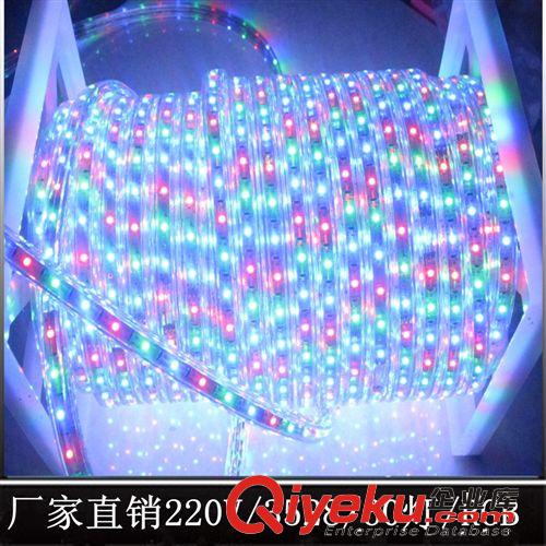 LED燈帶 3528/60珠高壓貼片燈帶/LED軟燈條紫光