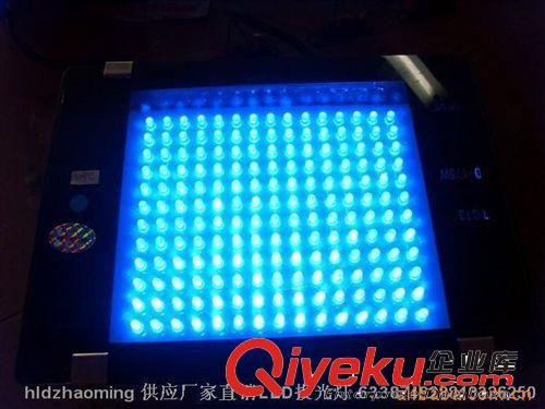 LED投射燈 供應廠家直銷LED投光燈