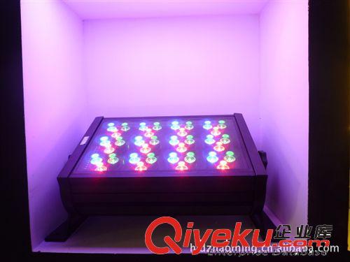 LED投射燈 供應廠家直銷LED投光燈